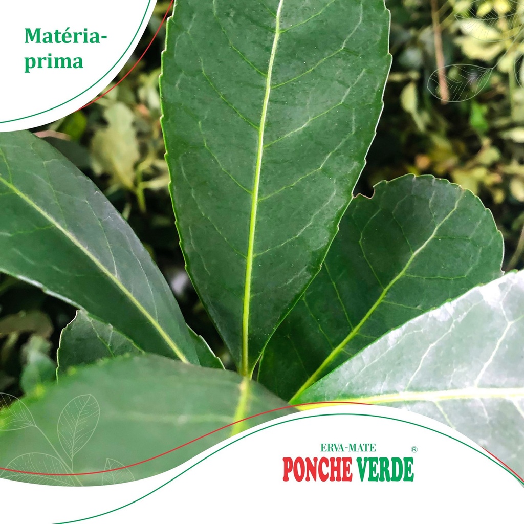 Yerba Mate Ponche Verde 1kg Importada De Brasil