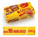 BOMBONES SURTIDOS GAROTO 250g