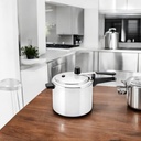 OLLA A PRESIÓN PANELUX CLASSIC DE ALUMINIO GRIS PULIDO 4,5LITROS